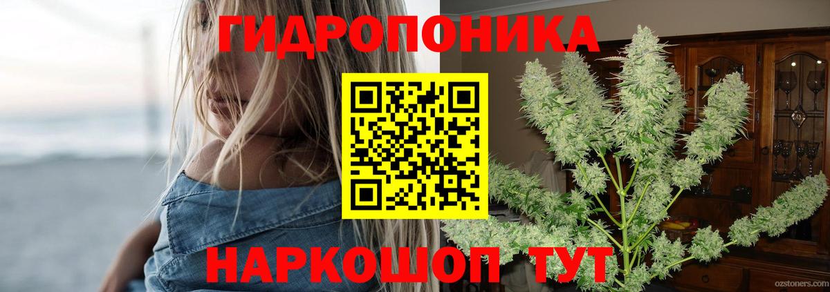 Бошки марихуана VHQ  Вход с VPN  Бошки марихуана план  Гурьевск  Канабис конопля 